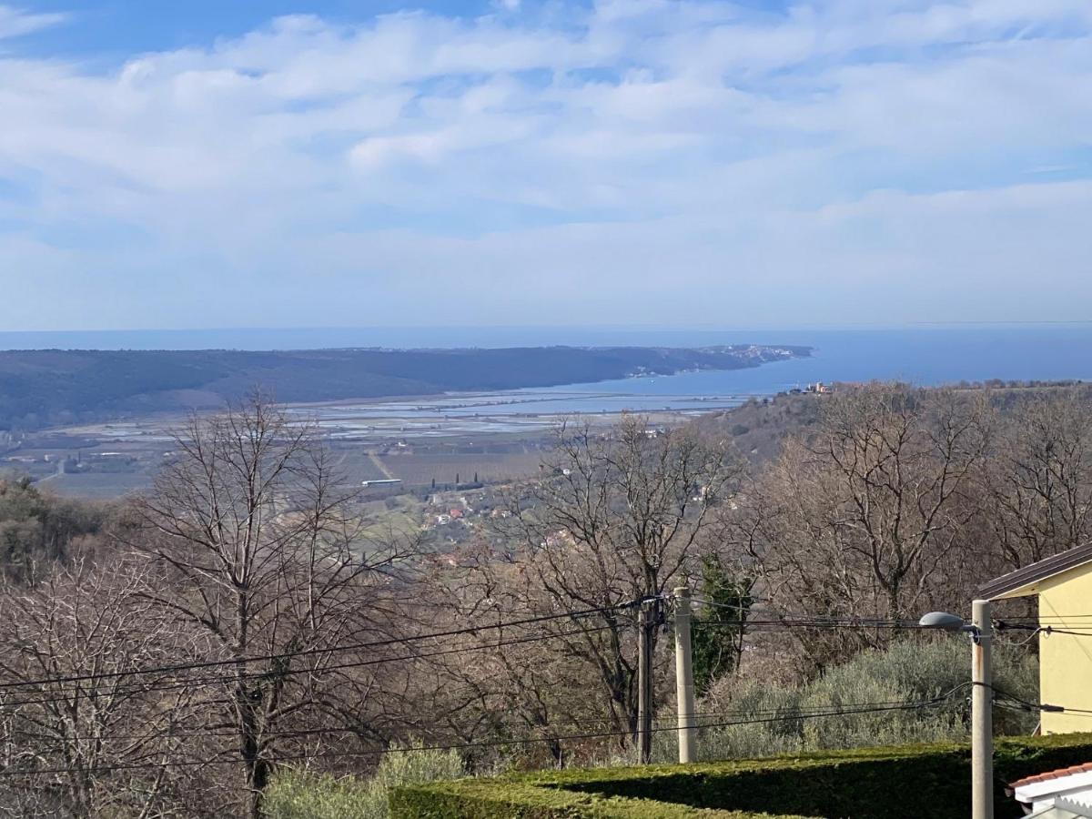 Sea View Istrian Countryside Apartment - Rota Dragonja Luaran gambar