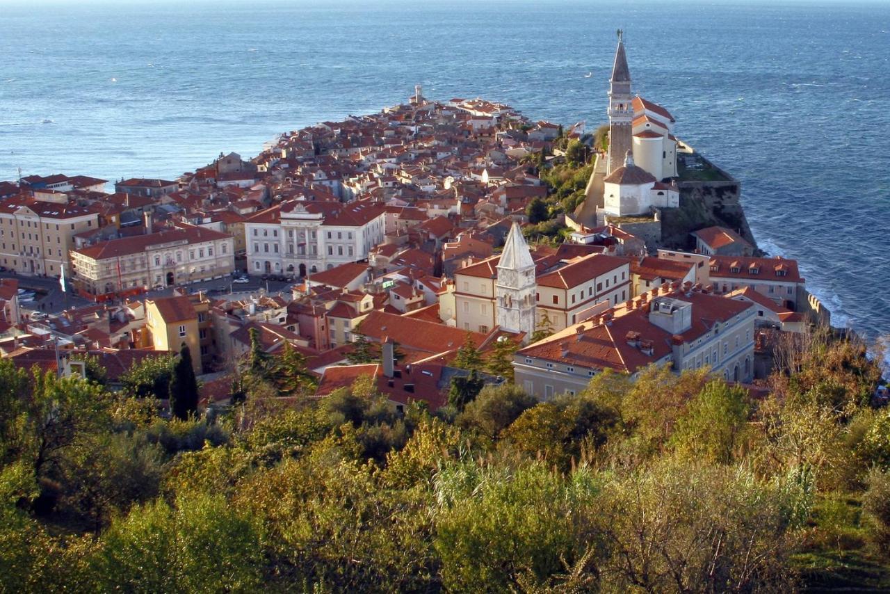 Sea View Istrian Countryside Apartment - Rota Dragonja Luaran gambar