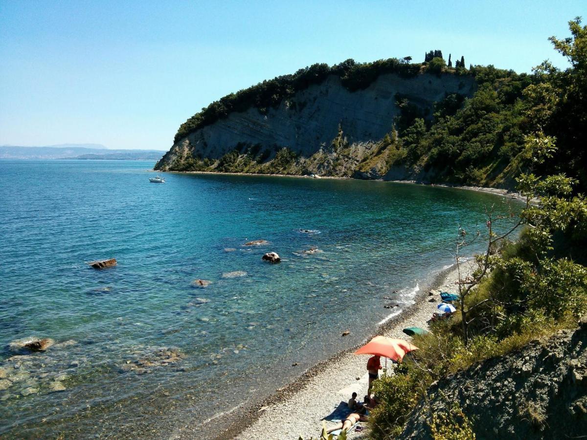 Sea View Istrian Countryside Apartment - Rota Dragonja Luaran gambar